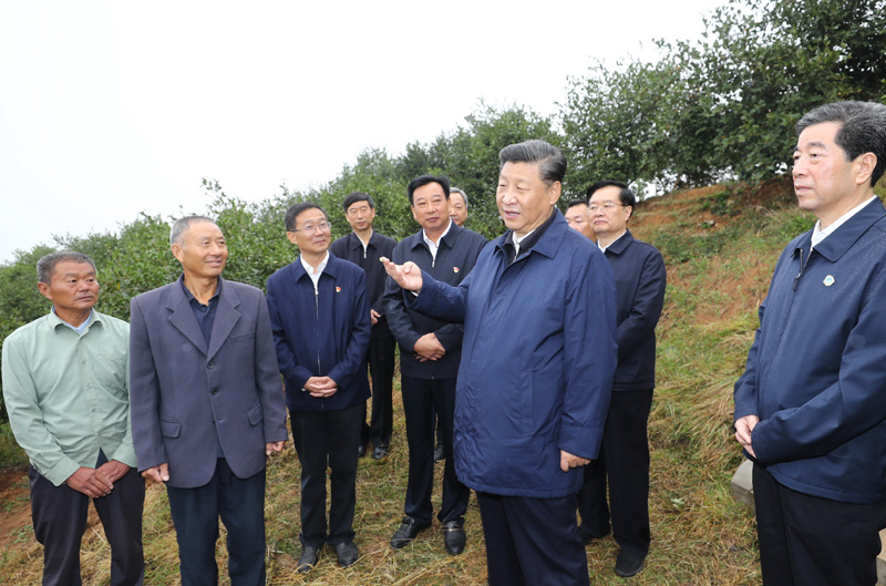 　　9月16日至18日，中共中央總書記、國家主席、中央軍委主席習(xí)近平在河南考察。這是17日上午，習(xí)近平來到信陽市光山縣槐店鄉(xiāng)司馬光油茶園，同正在勞作的村民和管理人員交流。 新華社記者 鞠鵬 攝