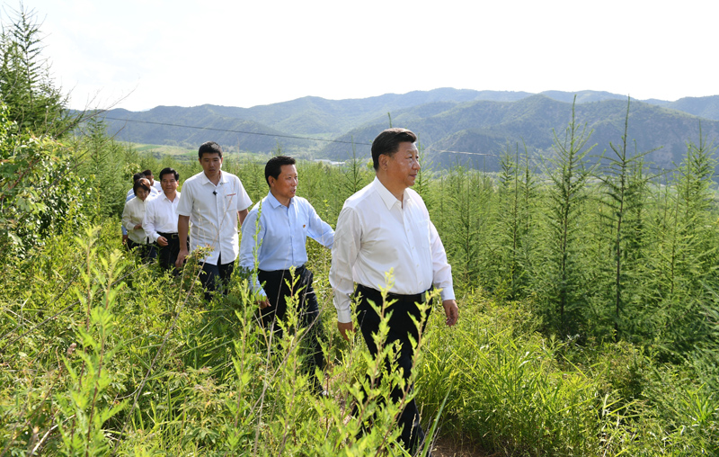 7月15日至16日，中共中央總書記、國家主席、中央軍委主席習近平在內(nèi)蒙古考察并指導開展“不忘初心、牢記使命”主題教育。這是15日下午，習近平在赤峰市喀喇沁旗馬鞍山林場林區(qū)，沿著崎嶇的護林小道察看林木長勢。